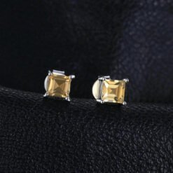 Stud Earrings for Women 204-02