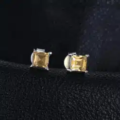Stud Earrings for Women 204-02