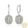 clip on earrings 216-01
