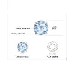 silver stud earrings for women 199-05