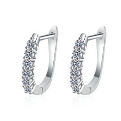 small hoop earrings 424-002