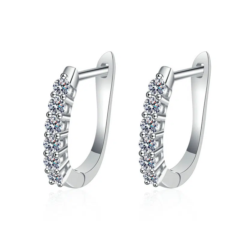 small hoop earrings 424-002