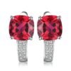 Red stone earrings 173-01