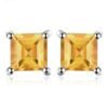 Stud Earrings for Women 204-01
