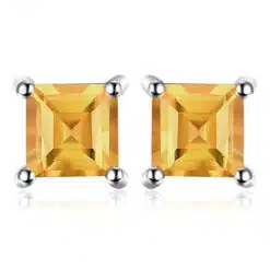 Stud Earrings for Women 204-01